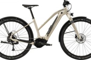 2022-Cannondale-Canvas-Neo-2-Remixte